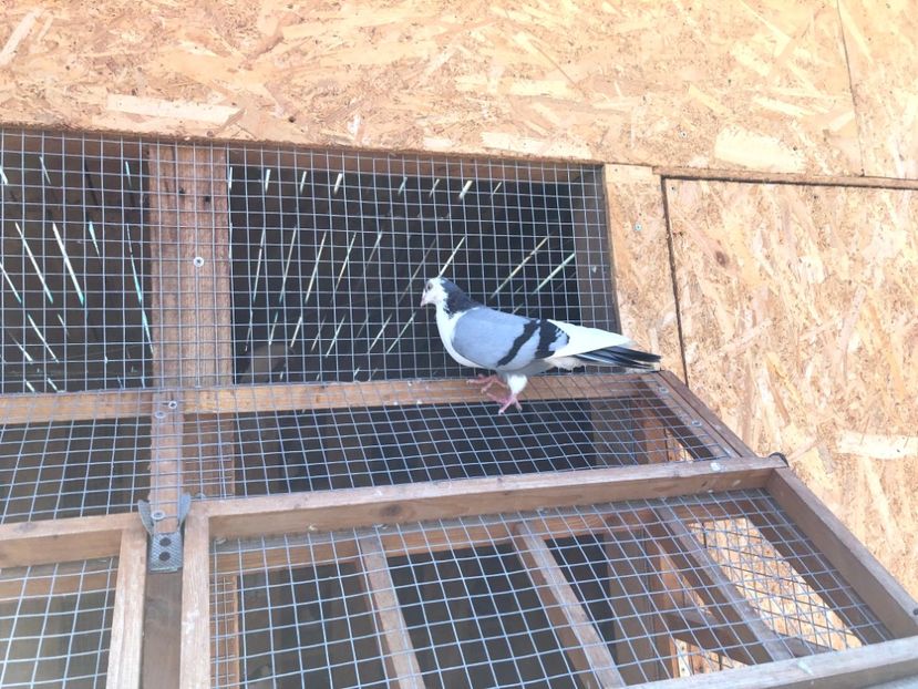  - 00000001 pe afară