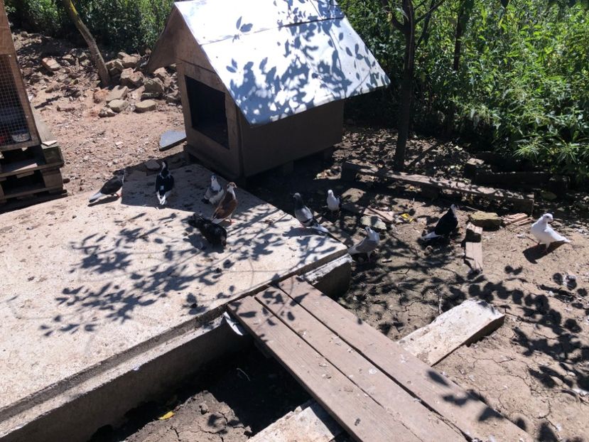  - 00000001 pe afară