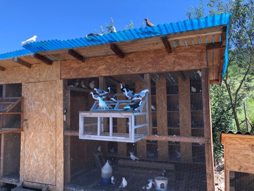  - 00000001 pe afară