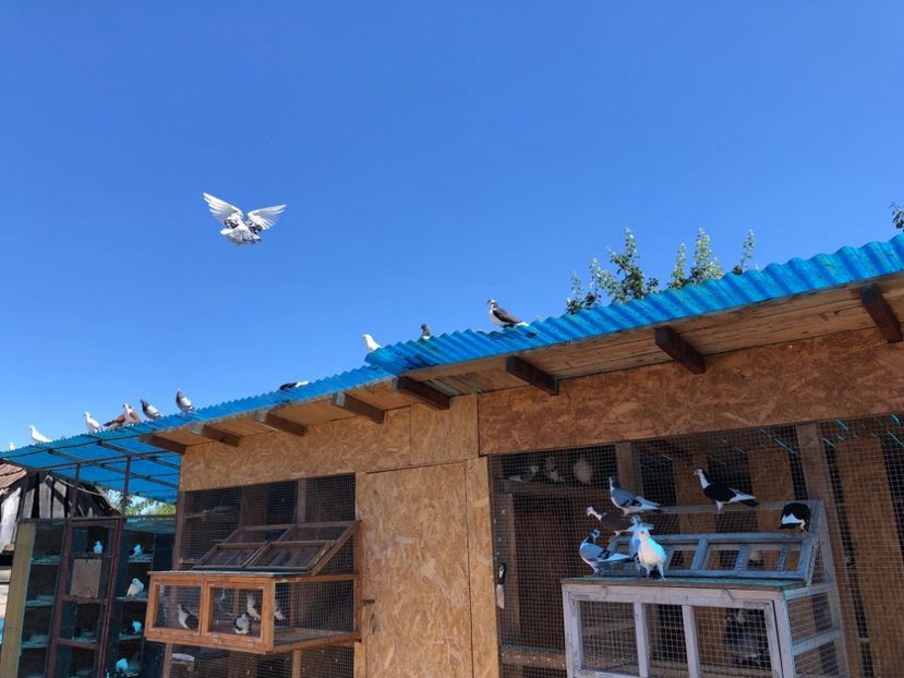  - 00000001 pe afară