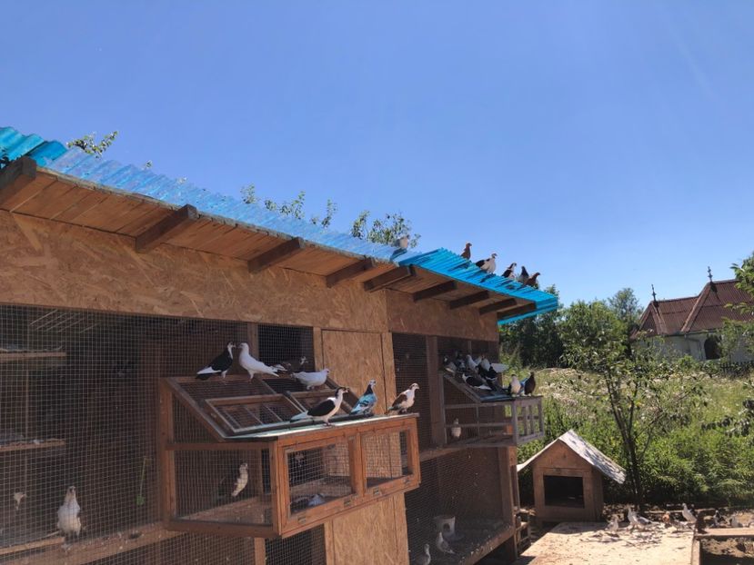  - 00000001 pe afară