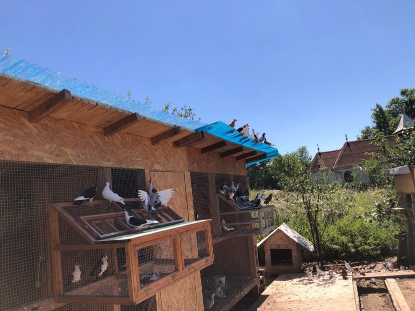  - 00000001 pe afară