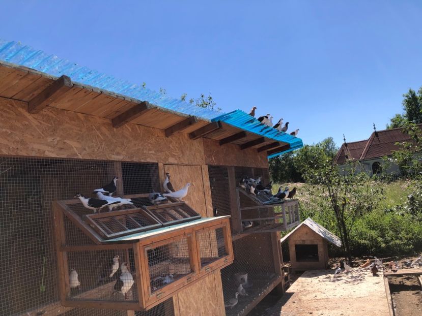  - 00000001 pe afară