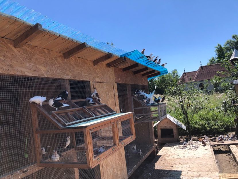  - 00000001 pe afară