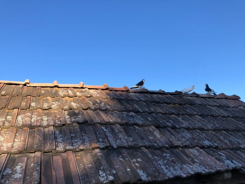  - 00000001 pe afară