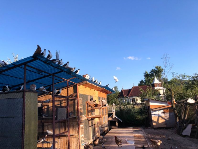  - 00000001 pe afară