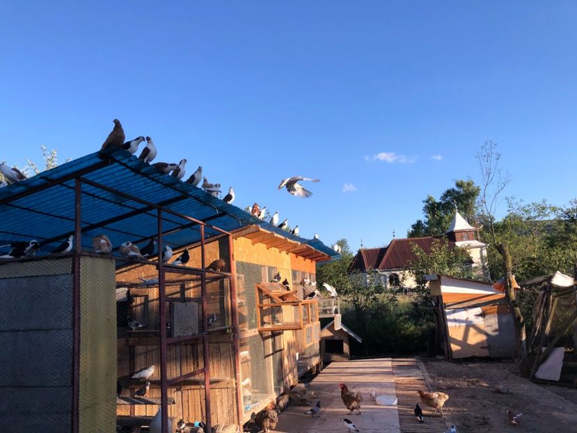  - 00000001 pe afară