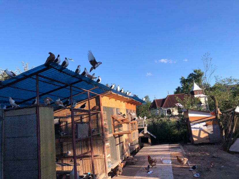  - 00000001 pe afară