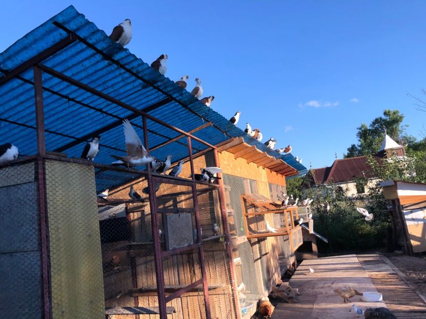  - 00000001 pe afară