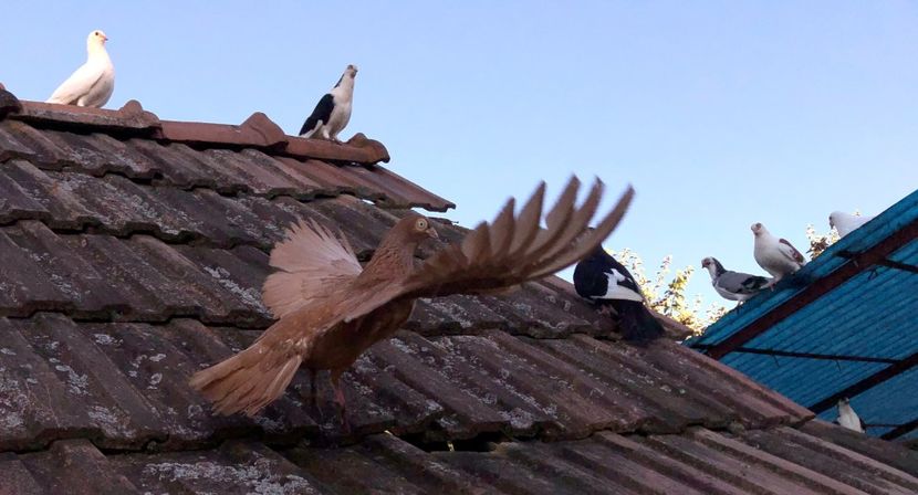  - 00000001 pe afară