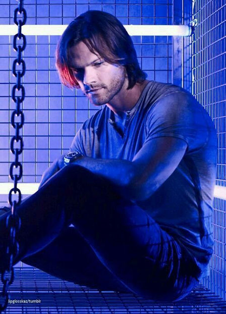 jared (3) - Sam