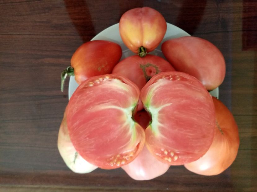  - TOMATE 2020 ALBUM 15