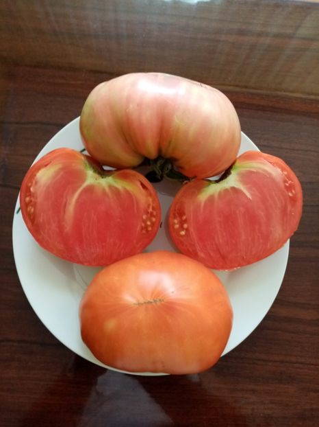  - TOMATE 2020 ALBUM 15