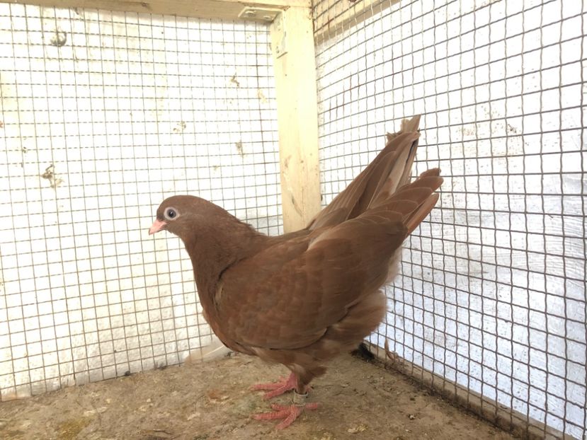 24/18 - 3-lot zbor 2020