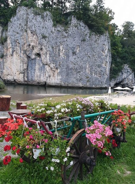  - 2020 SUNCUIUS 3 aug-5 aug baie în Crișul Repede