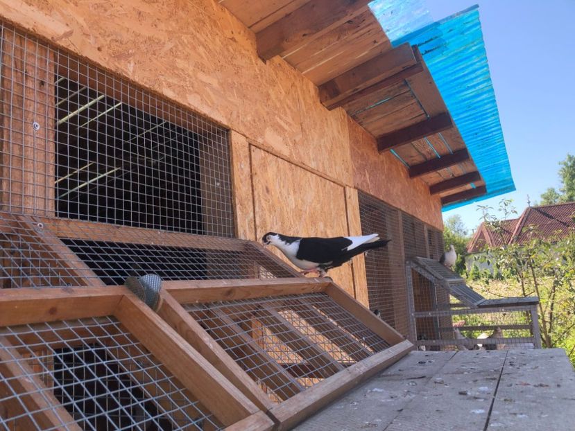  - 00000001 pe afară