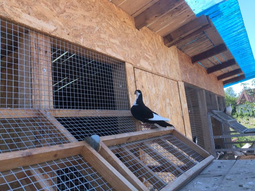  - 00000001 pe afară