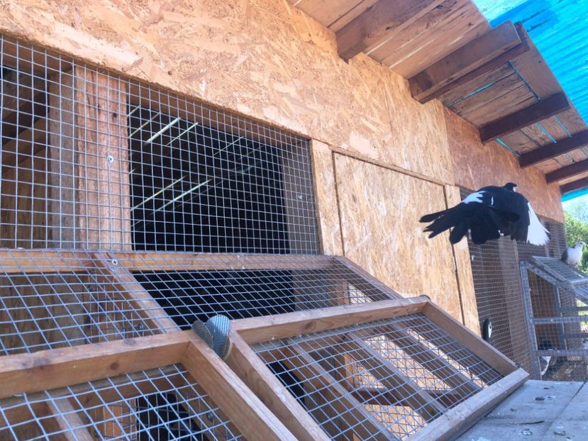  - 00000001 pe afară