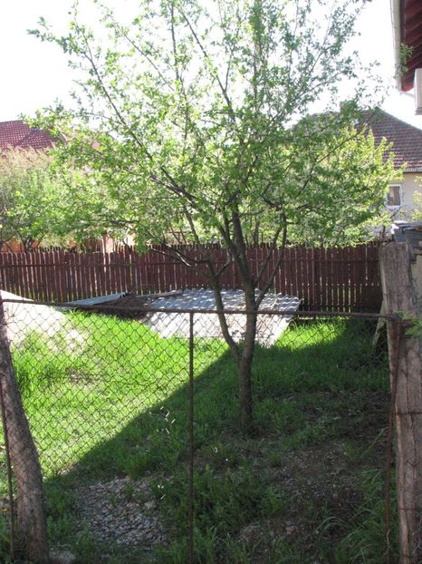 IMG (55) 27.04.2012 - 2012