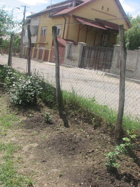  - 2013