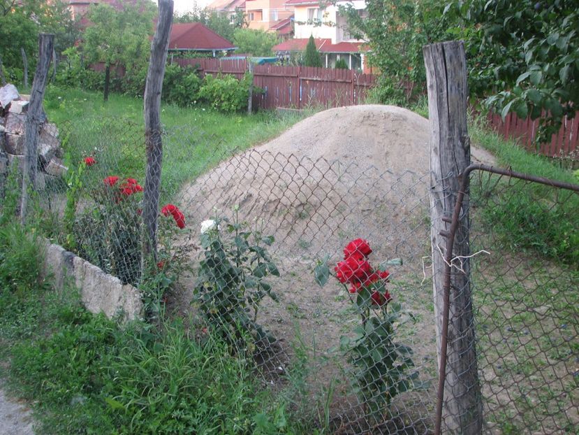  - 2013