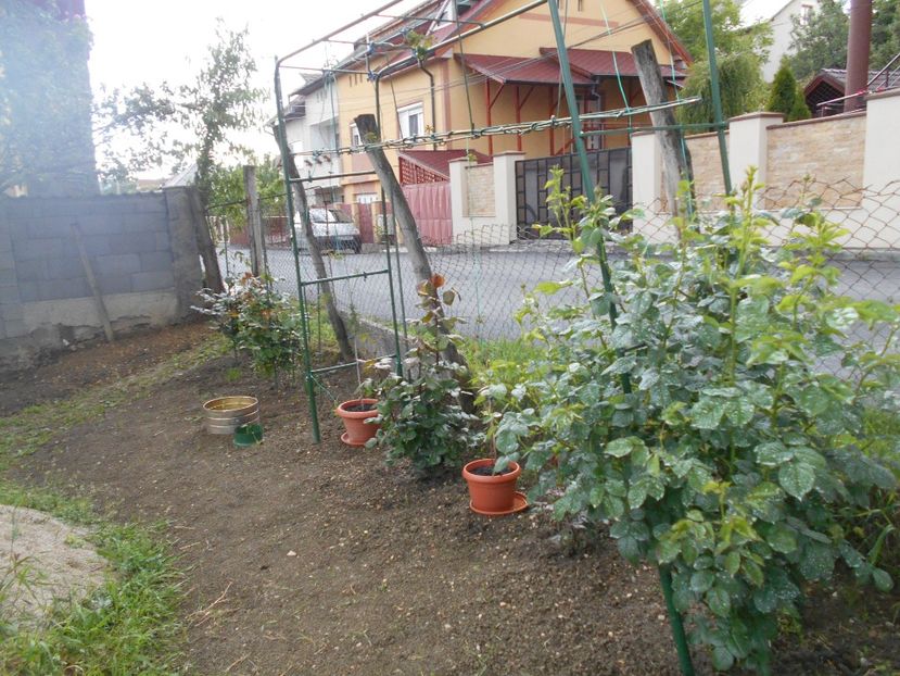  - 2014