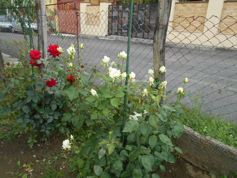  - 2014