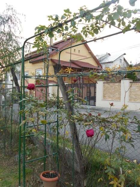  - 2014