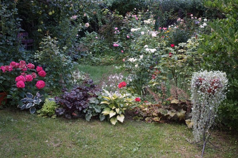  - August 2019- August 2020