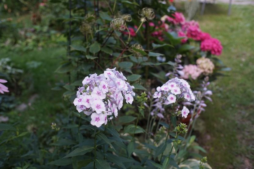  - August 2019- August 2020