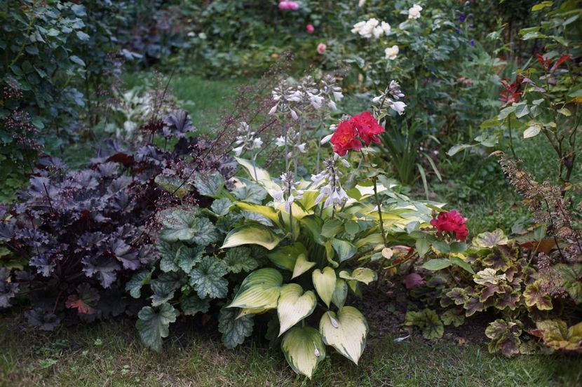  - August 2019- August 2020