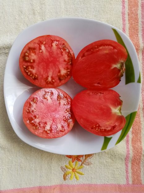  - TOMATE 2020 ALBUM 15