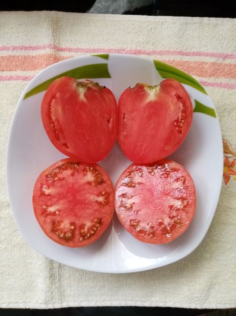  - TOMATE 2020 ALBUM 15