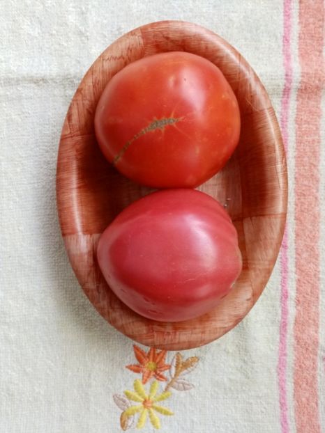  - TOMATE 2020 ALBUM 15