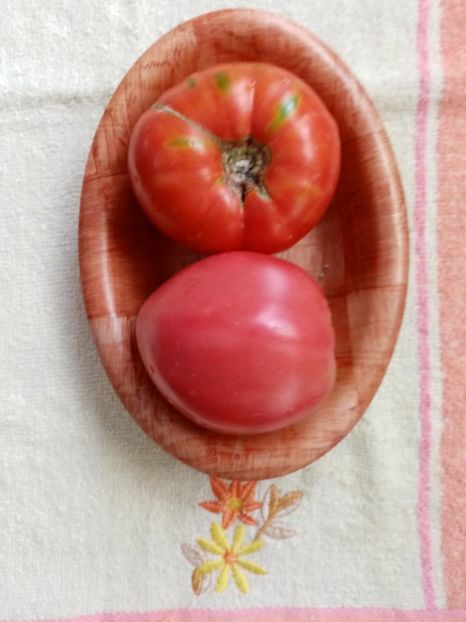 ZAZERA RED-ROZOV BLYAN - TOMATE 2020 ALBUM 15