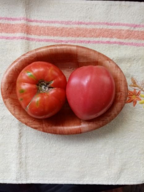  - TOMATE 2020 ALBUM 15
