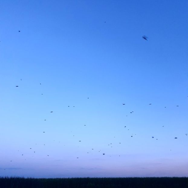  - - O - Fotografii x