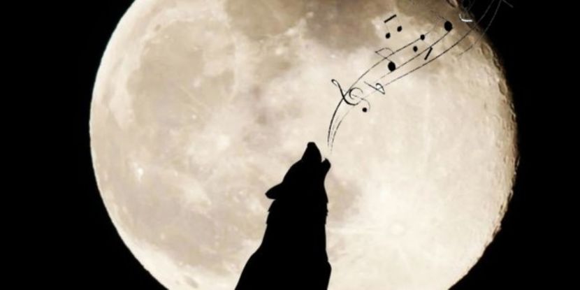 The Moon Full -  Luna Plina ♥️♾ - Journal - Something A B O U T of me
