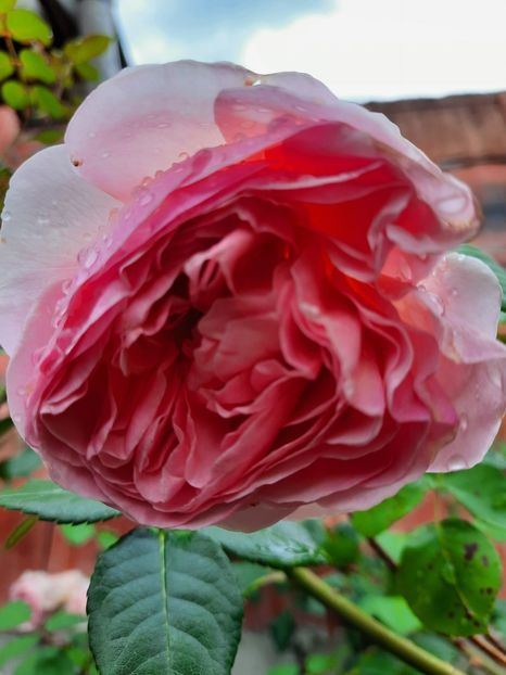  - Abraham Darby
