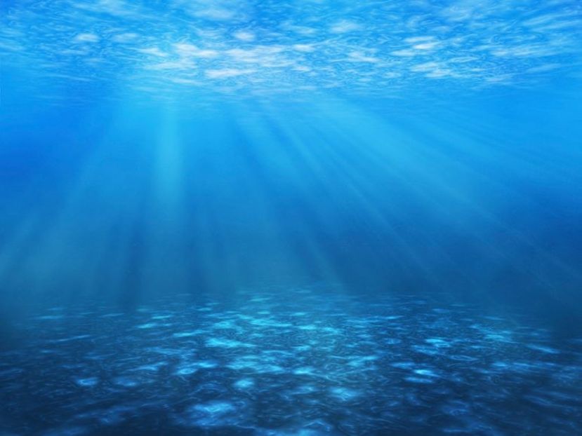 Deep Ocean - Adancul Oceanului ♥️♾ - Journal - Something A B O U T of me
