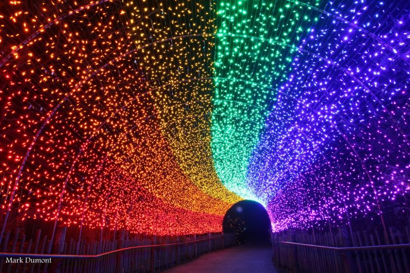 Luminitile ♥️♾ - Journal - Something A B O U T of me
