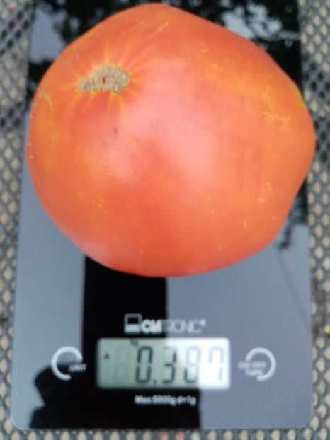  - TOMATE 2020 ALBUM 15