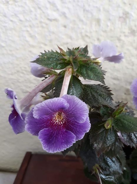  - 0001 2022 - Charles Martel