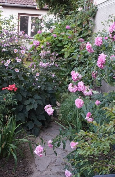  - August 2019- August 2020