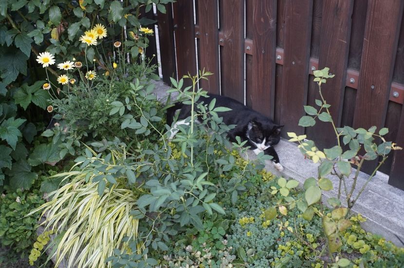  - August 2019- August 2020