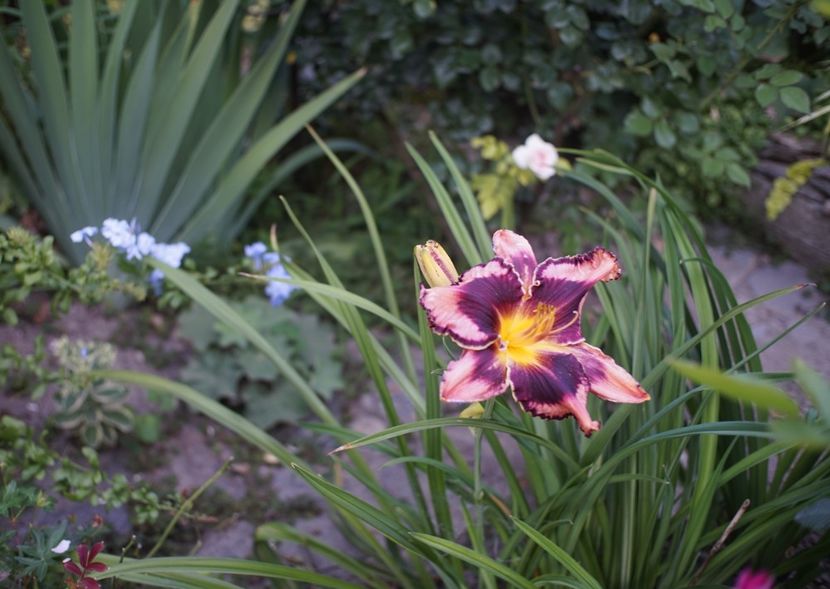  - August 2019- August 2020