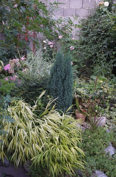  - August 2019- August 2020