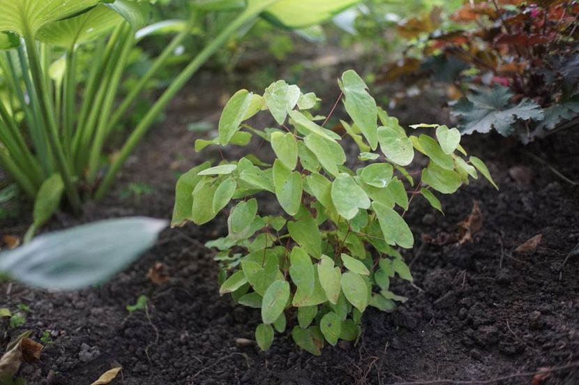  - August 2019- August 2020