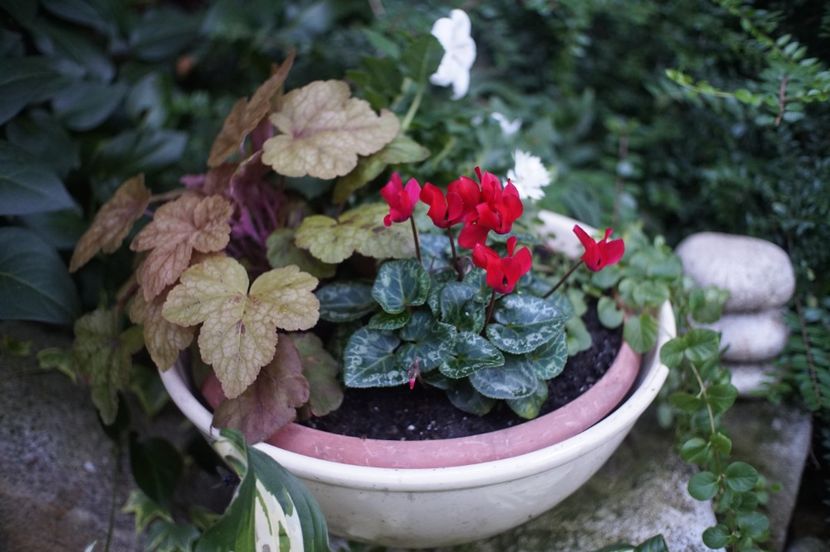  - August 2019- August 2020