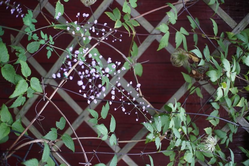  - August 2019- August 2020